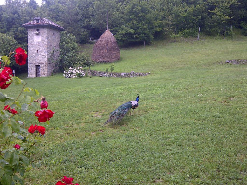 ホテルParco Matildico Di Montalto Cadelbosco di Sopra エクステリア 写真
